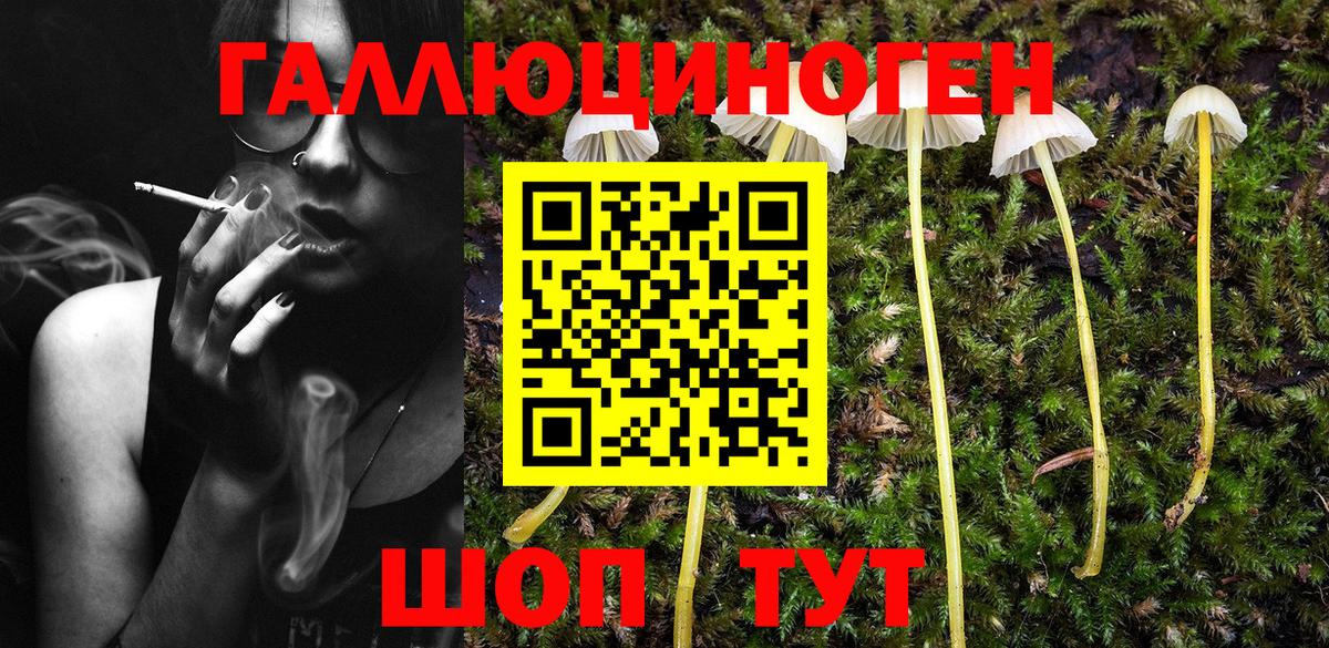 Асбест  Галлюциногенные грибы прущие грибы  Вход с VPN  Галлюциногенные грибы мицелий 