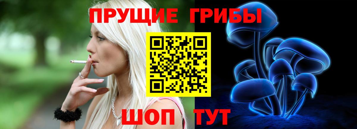 Псилоцибиновые грибы Psilocybine cubensis Асбест